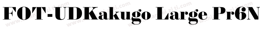 FOT-UDKakugo Large Pr6N字体转换